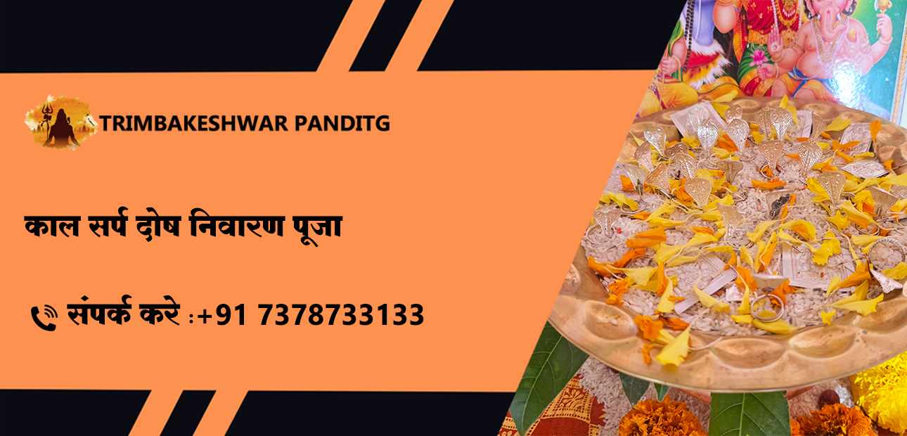 काल सर्प दोष निवारण पूजा