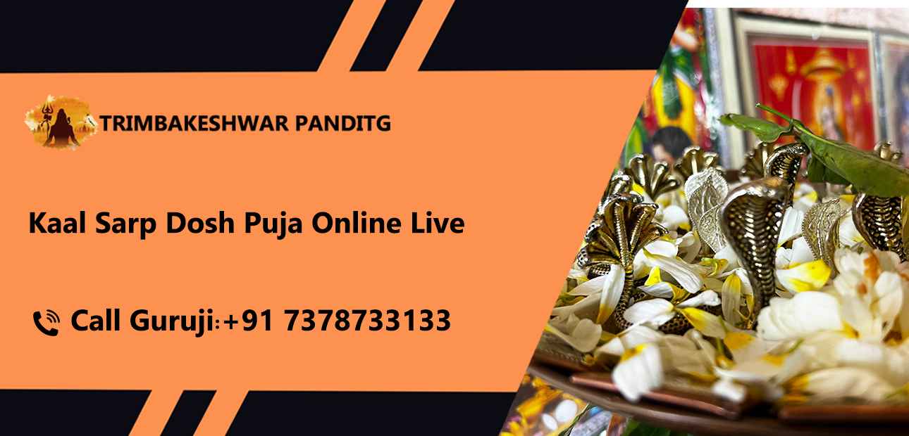 Kaal Sarp Dosh Puja Online Live