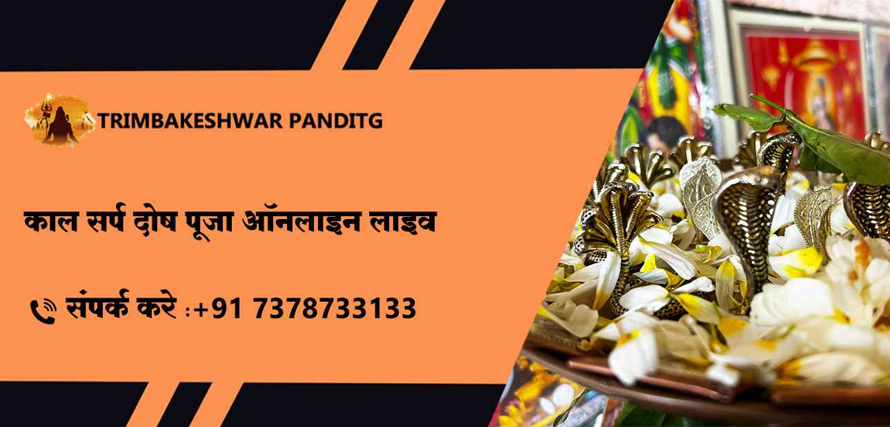 कालसर्प दोष पूजा ऑनलाइन लाइव